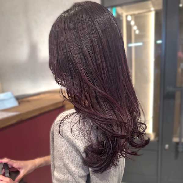 カシスラベンダー　ブリーチなしカラー　透明感カラー　艶髪
