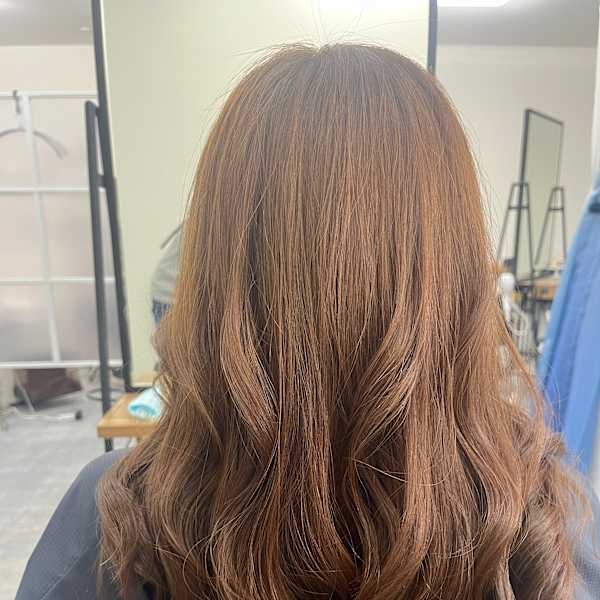 レッドブラウン|RIPPLE