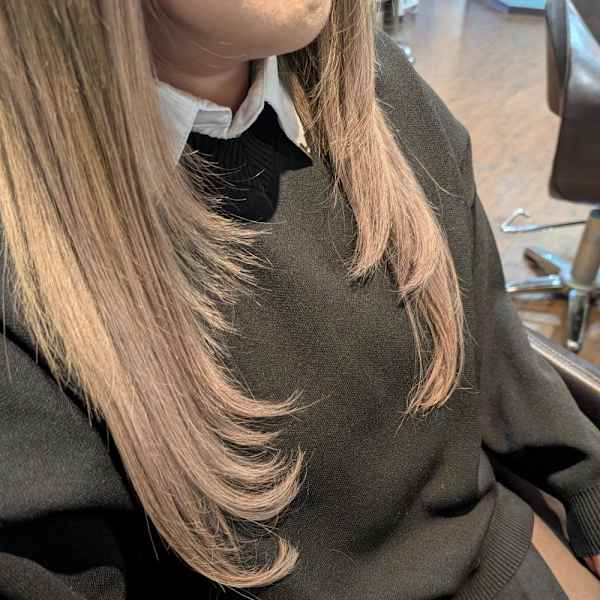 レイヤースタイル