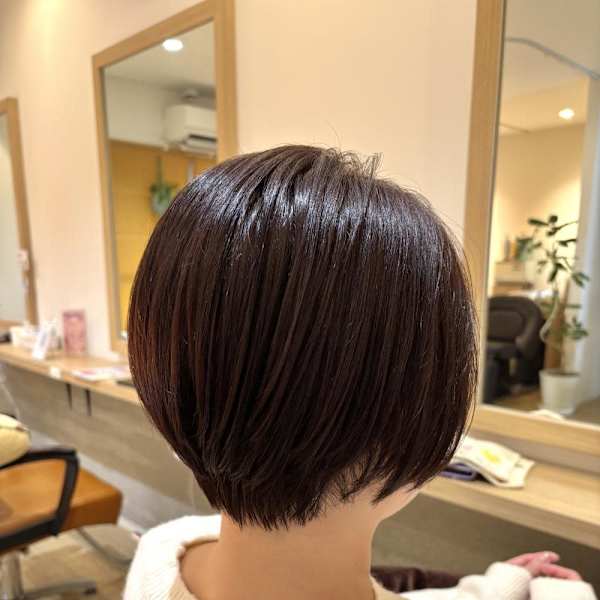 ショート