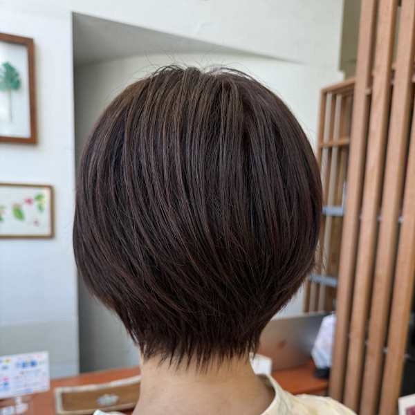 スッキリショート