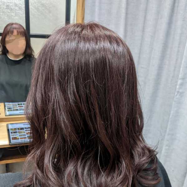 ボルドーワインカラー