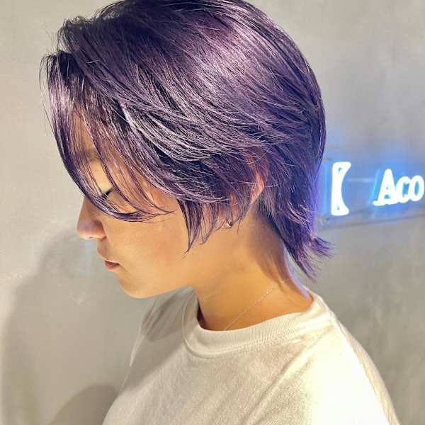 ディープパープル/紫/ダブルカラー/ショートウルフ