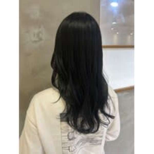 ブルーブラック【acala吉祥寺/アカラ/ダブルカラー】