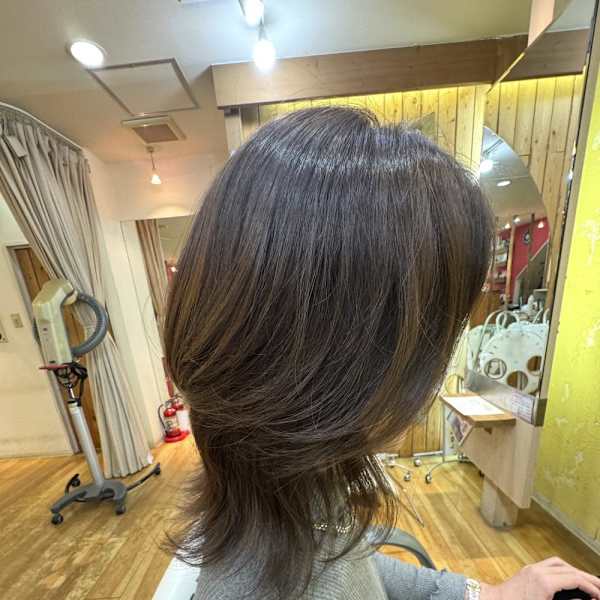 大人レイヤースタイル|Hair Mode KT Purl