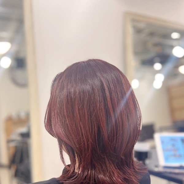 |ウルフボブ×カシスレッド|