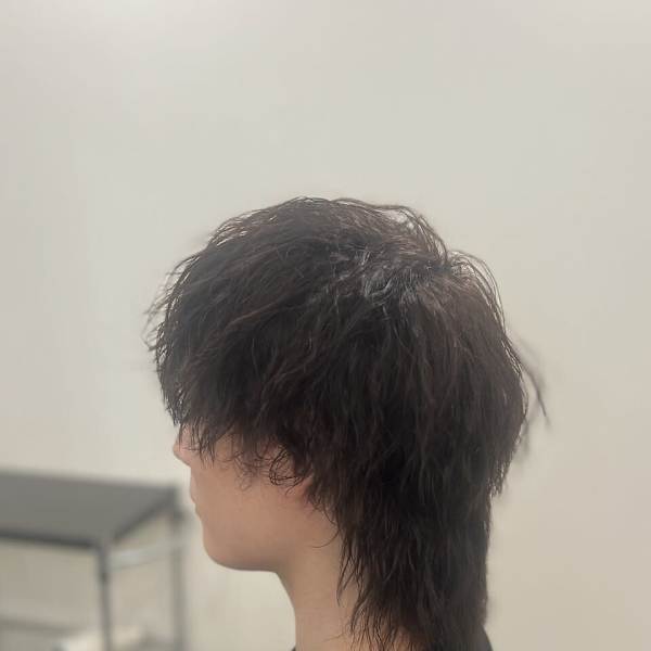 ｜マッシュウルフ × ツイスパ｜