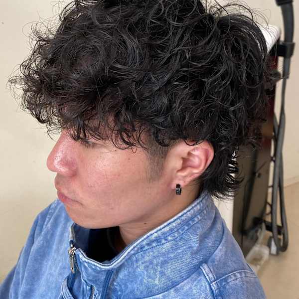 メンズウルフ×スペインカール