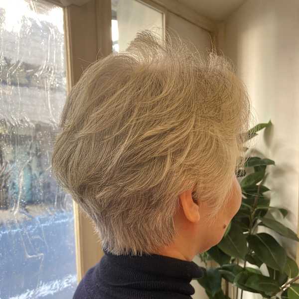 ミセスショート/ボリュームUPでセットが簡単/グレイヘア