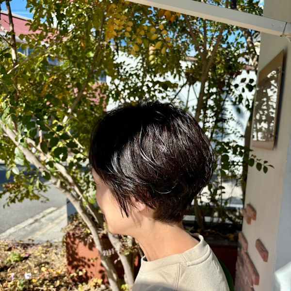 Lico hair 