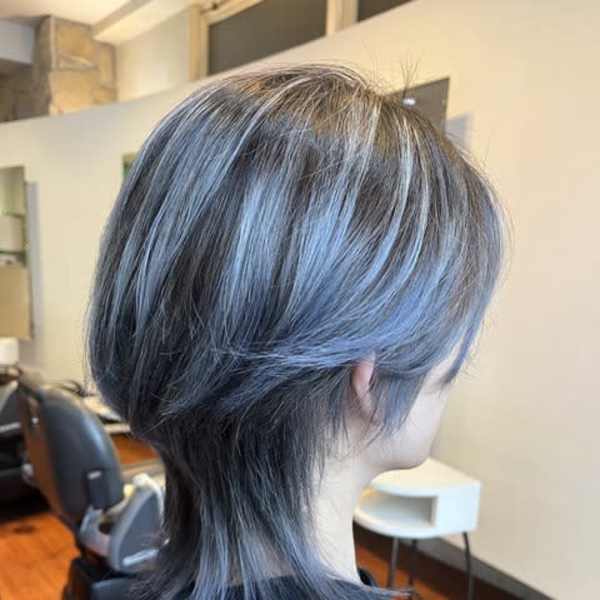 ブルーシルバーハイライト