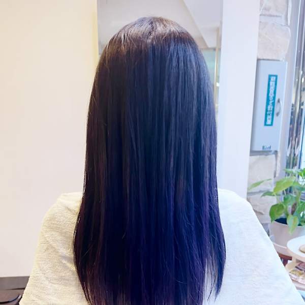 グラデーションカラー・バイオレット|FEELS