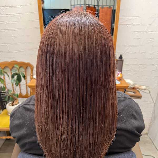 バイオレットブラウン