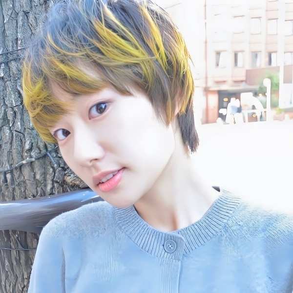 ダブルカラー/イエローカラー/デザインカラー