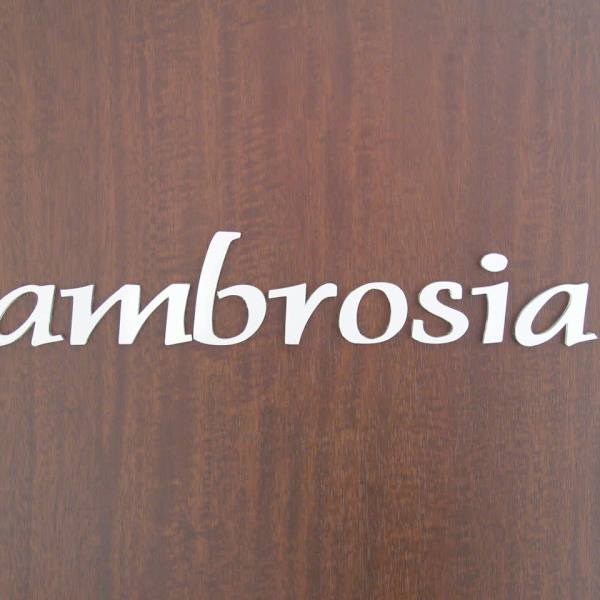 ambrosia【アンブロシア】のスタッフ紹介。杉山伊織