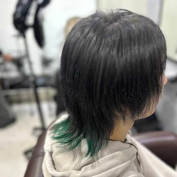 デザインカラーウルフ