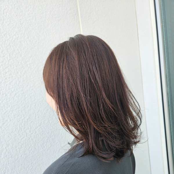 ミディアムレイヤー