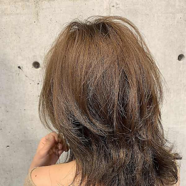 フォギーアッシュ ゆるかわ ウルフ♪