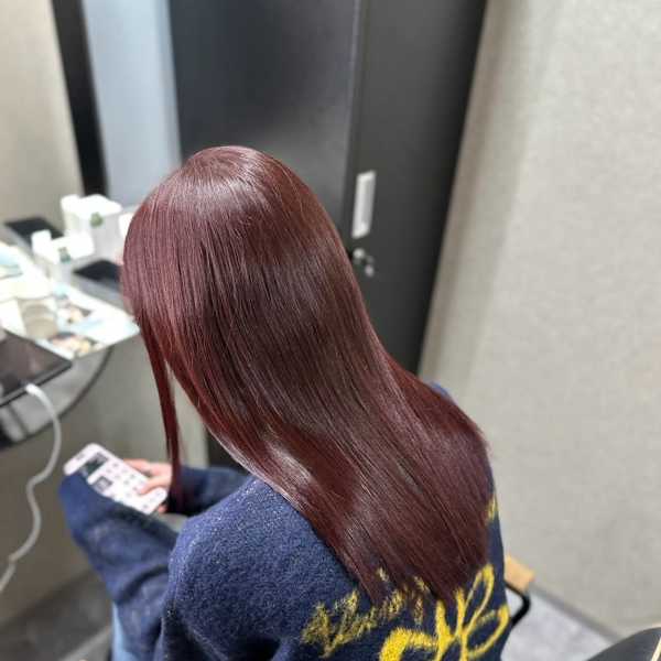 ピンクラベンダー