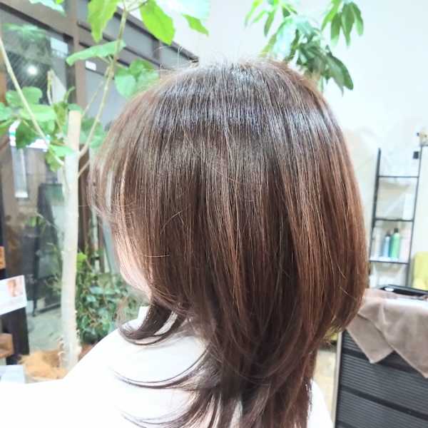 レイヤーカット