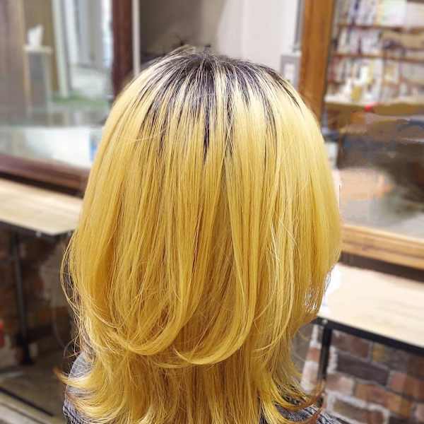 ミディアムウルフ