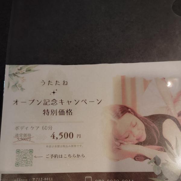 うたたね【ウタタネ】のスタッフ紹介。カトウ