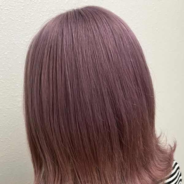 sourire chouchou(スーリールシュシュ)
