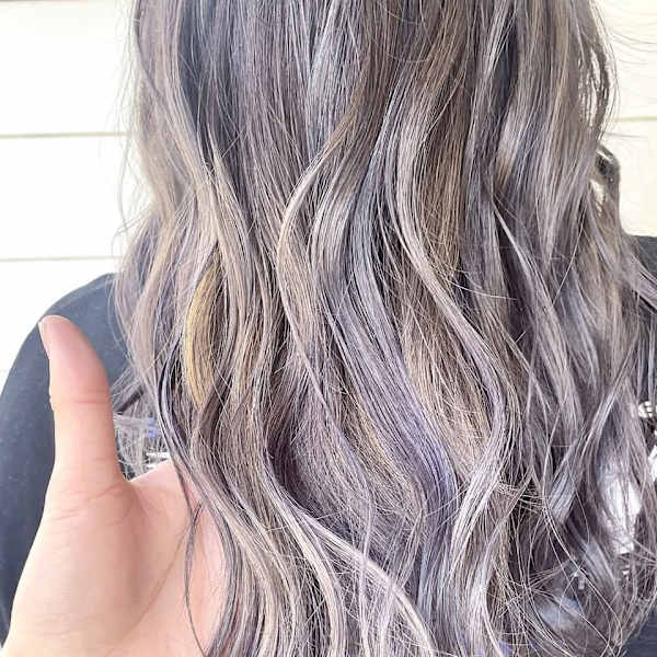 透明感デザインカラー2025春世田谷梅ヶ丘