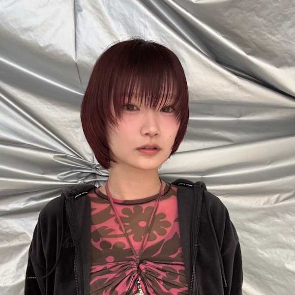 マッシュレイヤー