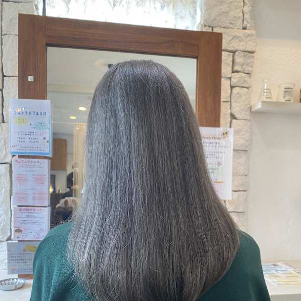 gray color|NAP hair bocco