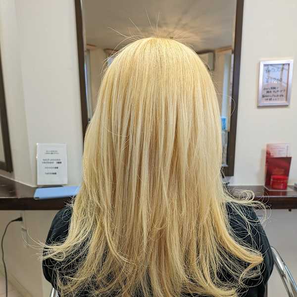 ブリーチスタイル|nova hair