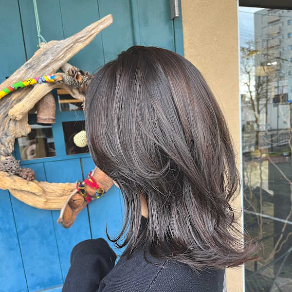 レイヤー・イルミナカラー