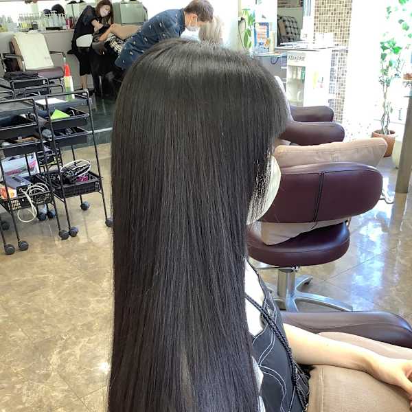 カールピア・モリモト かめいど×スタイル|カールピア・モリモト かめいど