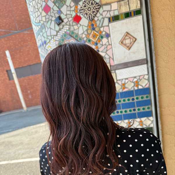 イルミナカラー|ROHO