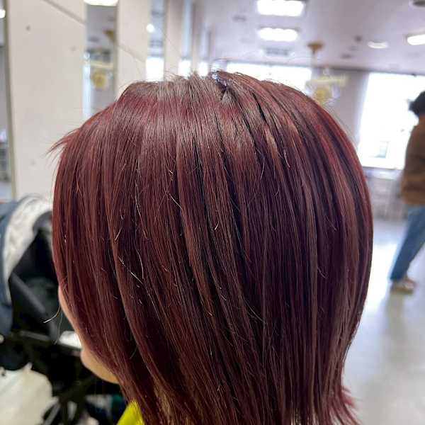 Plume（プリューム）