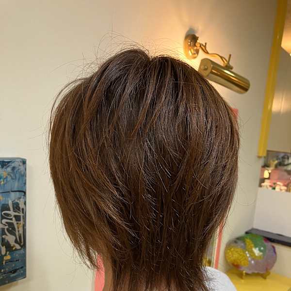 ハイレイヤーウルフ