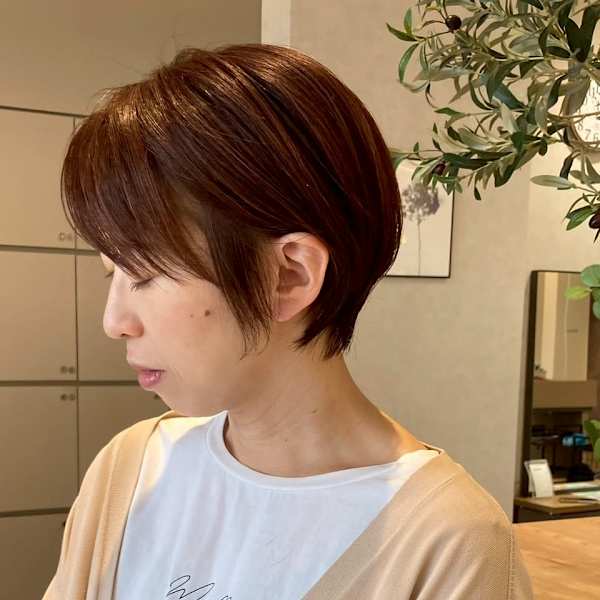 aimer by hair pocket×スタイル