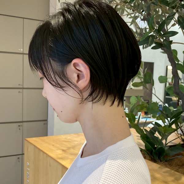 aimer by hair pocket×スタイル