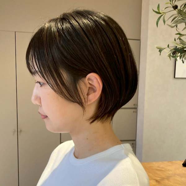 aimer by hair pocket×スタイル