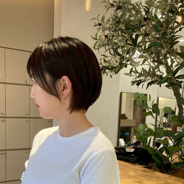 aimer by hair pocket×スタイル