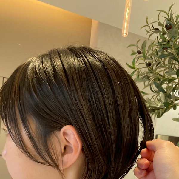 aimer by hair pocket×スタイル