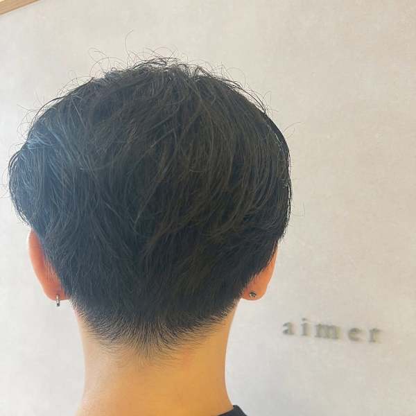 aimer by hair pocket×スタイル