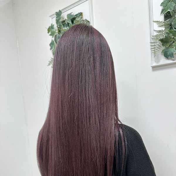赤みパープルカラー|Hair by PROVE