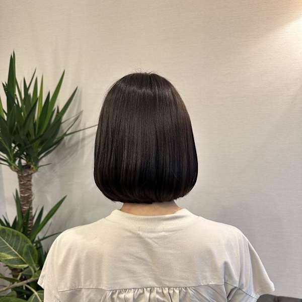 ベーシックボブ