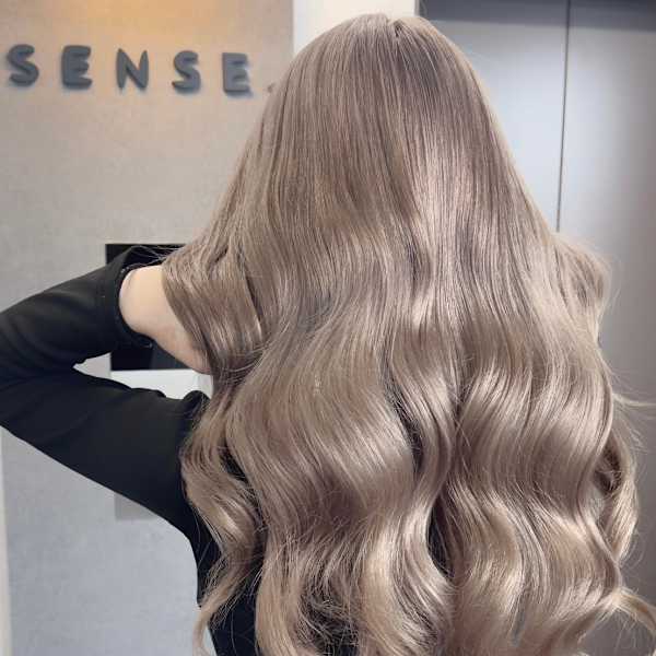 SENSE.×スタイル|SENSE.