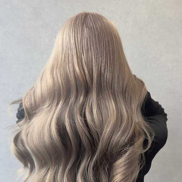 SENSE.×スタイル