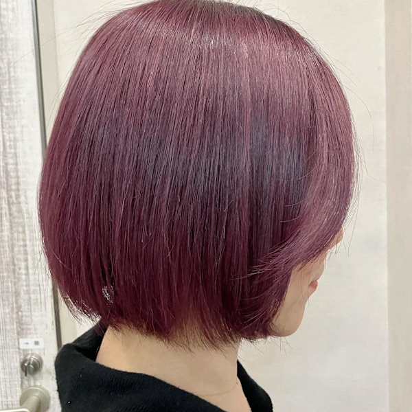 #ボルドールビー,#ハニボブ,#マッシュラインカール