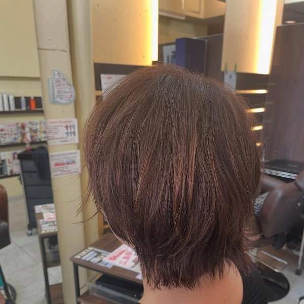 ミニウルフ　カット/カラー