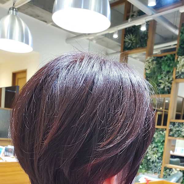 tiptop保谷店×ナチュラルショート