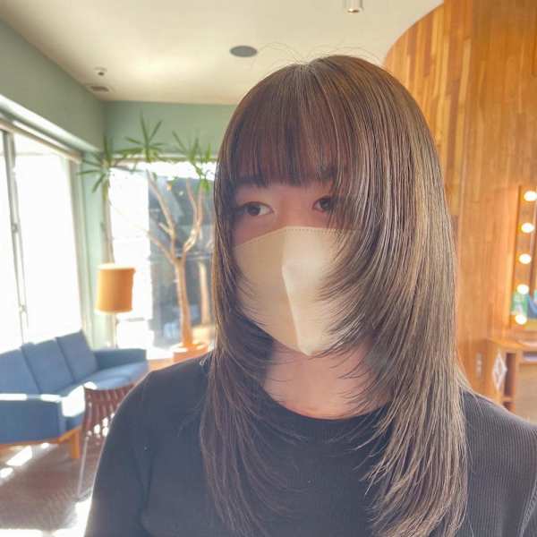 フェイスレイヤー